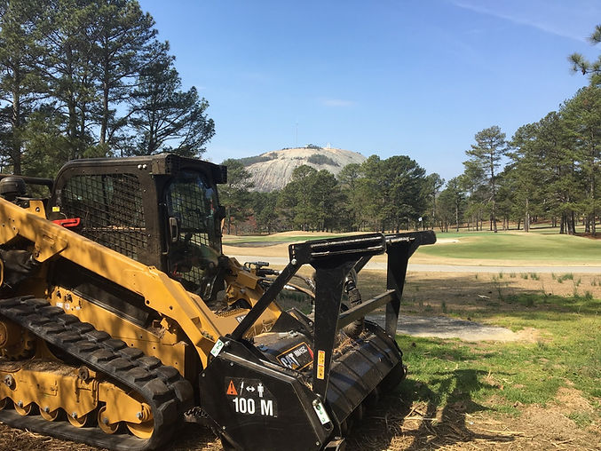 Forestry Mulching GA. Brush Mowing.jpeg
