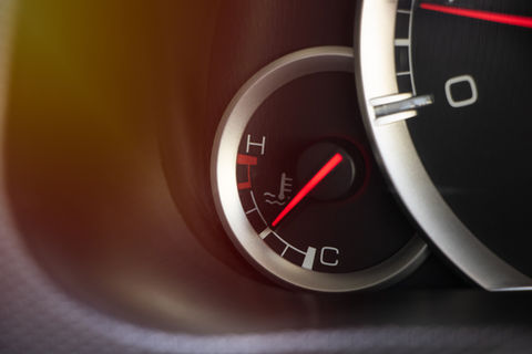 AdobeStock_244331155.jpeg