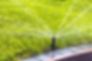 AdobeStock_301801565.jpeg