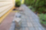 AdobeStock_114954783.jpeg