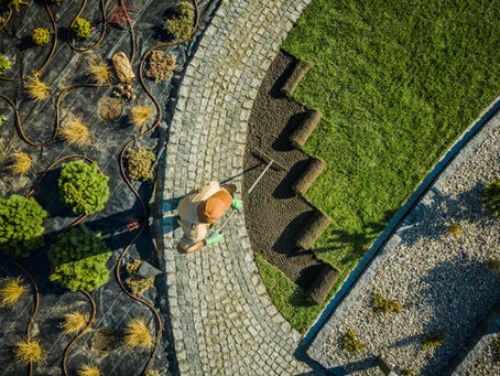 Professional Lawn Care in Rockwall: What It Takes to Keep Your Yard Looking Its Best