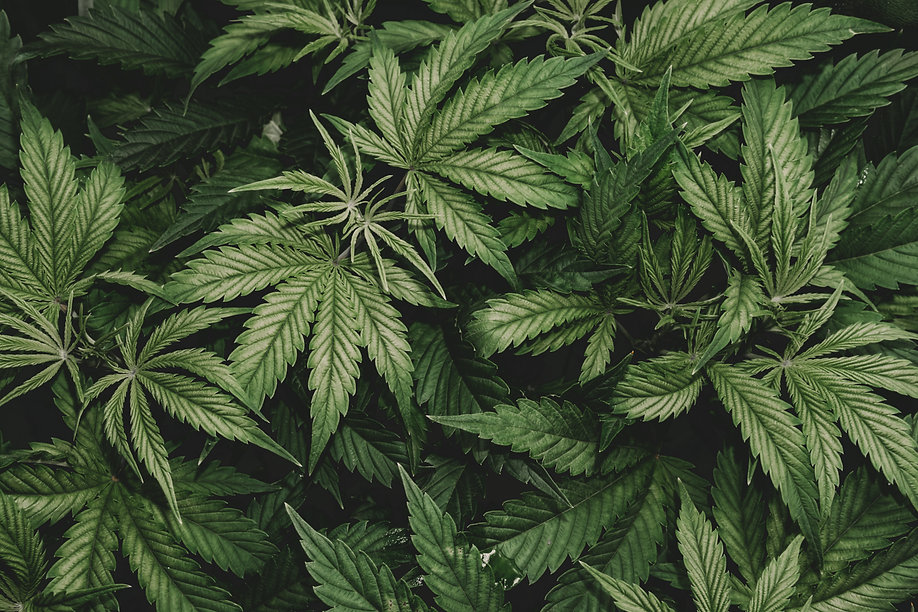 AdobeStock_305306567.jpeg