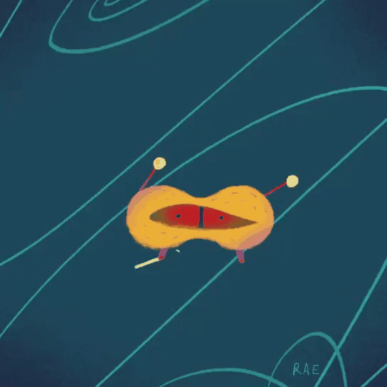 1.gif