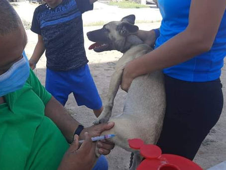 SE RELANZA CAMPAÑA DE VACUNACIÓN ANTIRRÁBICA Y DESPARASITACIÓN PARA MASCOTAS EN LERDO