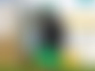 "Tenemos que hacernos fuertes en casa desde el inicio": Almada