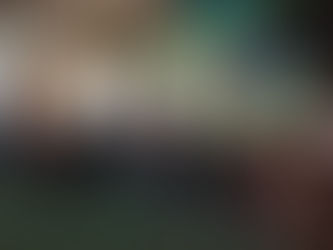 CON ÉXITO SE INAUGURÓ EL FESTIVAL NAVIDEÑO EN LERDO