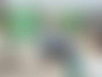 ACUDE MEDIO AMBIENTE A GRASEROS CON CAMPAÑA DE MERCADITO LAGUNERO