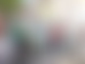 ARRANCA CAMPAÑA DE FUMIGACIÓN EN LERDO