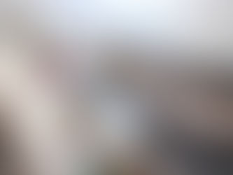 REALIZAN JORNADA DE ABATIZACIÓN Y FUMIGACIÓN EN EL ÁREA URBANA DE LERDO