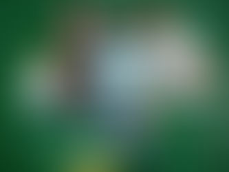 Los Guerreros participarán en la Leagues Cup 2021