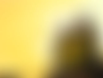 Prevención de Incendios