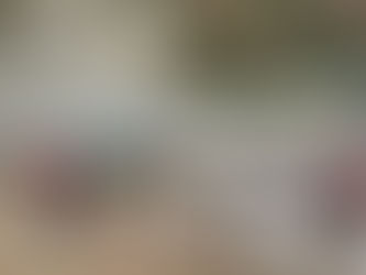 CIERRA CON ÉXITO CURSO DE VERANO 2021 EN LERDO