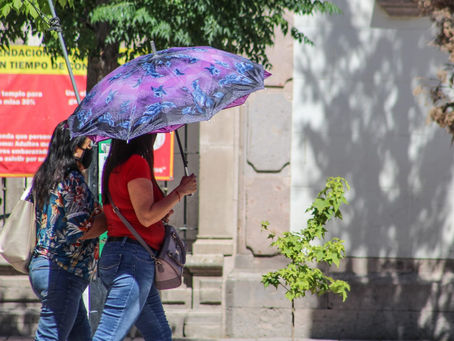 Recomendaciones Temporada de Calor