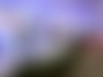 ENTREGA TITULAR DE SICT PREMIO NACIONAL DE INGENIERÍACIVIL 2021 A EUGENIO LARIS ALANÍS