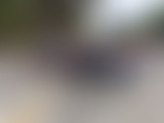 ATIENDE PROTECCIÓN CIVIL REPORTE DE ÁRBOL EN PLAZUELA JUÁREZ