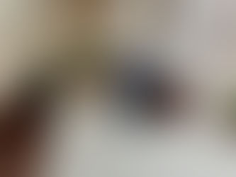 FICHA TÉCNICA PREVENCIÓN A LA SALUD – TEMA SANITIZACIÓN