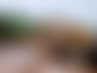 REPORTA SCT DERRUMBES OCASIONADOS POR INTENSAS LLUVIASEN TRAMOS CARRETEROS DE OAXACA