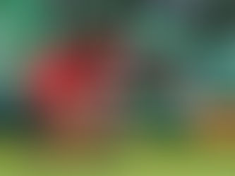 “HAY UN MUY BUEN GRUPO Y SE HA HECHO UN MUY BUEN TRABAJO”: NICOLE BUENFIL