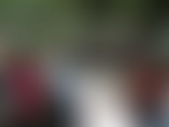 Acordonamiento por árbol, Parque Victoria