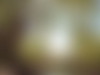 Atención Tolvanera.