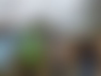 Cadáveres de Cabras en Nazareno.