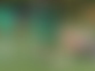 “Esta etapa de trabajo es fundamental para jugar los partidos en un alto nivel”: Dória