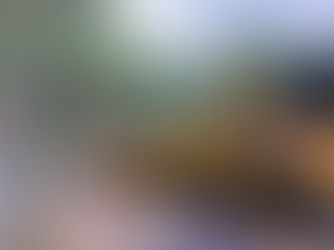 REPORTA SCT AFECTACIONES MENORES E INTERRUPCIONES PARCIALES POR “OLAF” EN BCS