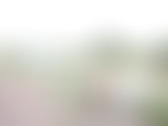 FICHA TÉCNICA PROTECCIÓN CIVIL – PERIODO VACACIONAL