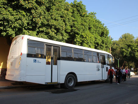 Ficha Técnica Salud – Tema Mastografías IMM – Fecha 16 de julio 2021