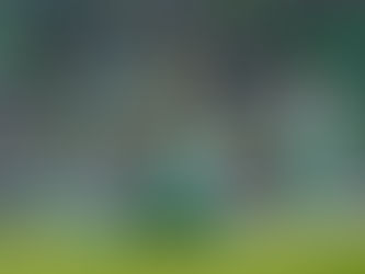 “LA MURALLA” TORRES VESTIRÁ LA PLAYERA DE LA SELECCIÓN ECUATORIANA