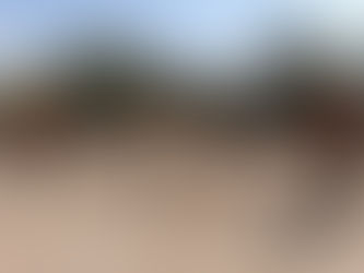 PROTECCIÓN CIVIL LERDO, ATIENDE REPORTE DE MUERTE DE CABRAS