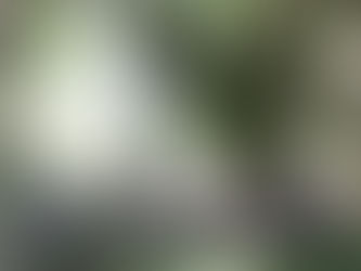 Atención a Tolvanera.