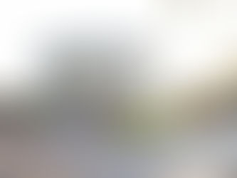 MEDIO AMBIENTE Y TURISMO TURISMO RESPONSABLE, COVID-19 PaLerdo.com.mx