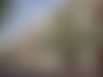 EN AGOSTO INICIA CONVENIO ENTRE AYUNTAMIENTO DE LERDO Y LA UNIVERSIDAD INTERNACIONAL MEXICANA (UIM)