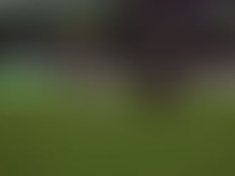 SANTOS LAGUNA JUGARÁ LAS SEMIFINALES DE LA LEAGUES CUP