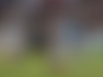 Primer ensayo con aspectos positivos para los Guerreros