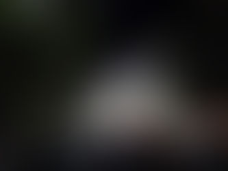 SALDO BLANCO EN LERDO DURANTE FESTEJOS POR EL 16 DE SEPTIEMBRE