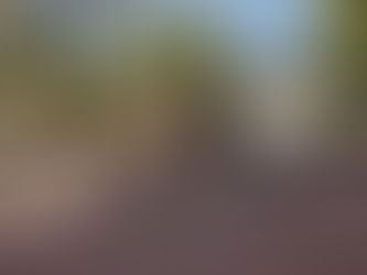 SANITIZADOS 76 PLANTELES EDUCATIVOS EN LERDO, POR PREVENCIÓN SOCIAL