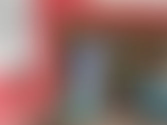 REALIZAN FUMIGACIÓN CONTRA GARRAPATA EN ZONA URBANA DEL MUNICIPIO