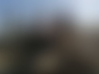 ENTREGAN CEMENTO SUBSIDIADO EN SALAMANCA