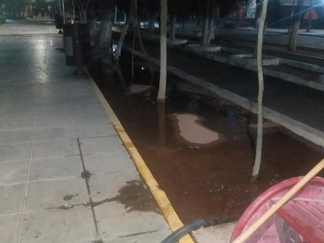 MEDIO AMBIENTE REALIZA ACCIONES PARA MEJORAR EL SISTEMA DE RIEGO EN EL PARQUE VICTORIA