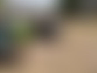 PROTECCIÓN CIVIL ALERTA A PASEANTES DEL PELIGRO DE INTRODUCIRSE AL RÍO Y CANALES DE RIEGO