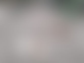 Cadáveres de Cabras.