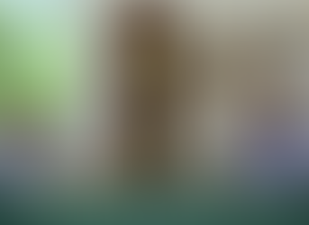 RELANZAMIENTO DE TRENES REPRESENTA UNA ALTERNATIVAMODERNA, RÁPIDA Y AMIGABLE CON EL MEDIO AMBIENTE