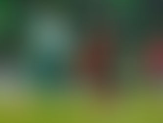 Ayrton Preciado y Félix Torres disputarán la Copa América con Ecuador