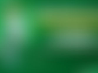 Club Santos Laguna Informa: