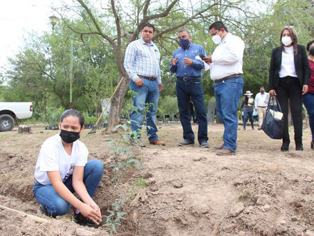 EN EL ÚLTIMO AÑO SE PLANTAN EN LERDO CERCA DE 17 MIL ÁRBOLES EN BENEFICIO AL MEDIO AMBIENTE