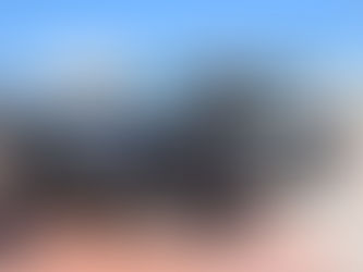 Operativo Seguridad.