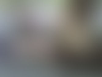 EVALÚA MEDIO AMBIENTE REFORESTACIÓN EN PARQUE VICTORIA