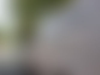 PREVENCIÓN SOCIAL, REPORTA SIN NOVEDAD VIGILANCIA DE MEDIDAS CONTRA EL COVID-19 EN LERDO